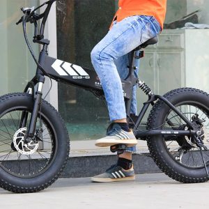 Explore The Array Of Innovative E-Bikes From Swagtron